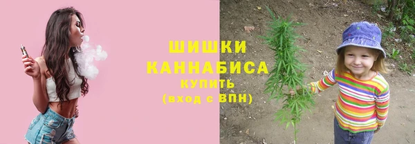 крисы Баксан