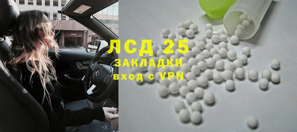 крисы Баксан