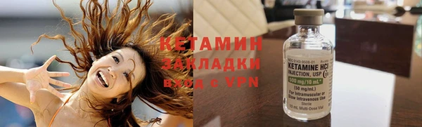 крисы Баксан