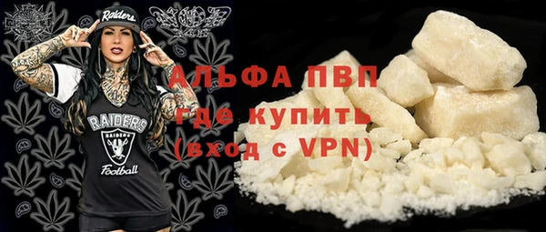 крисы Баксан
