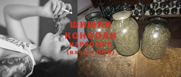 крисы Баксан