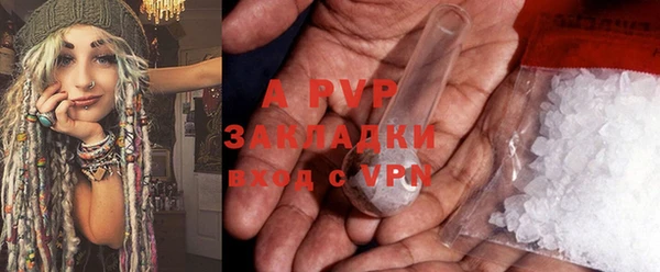 крисы Баксан