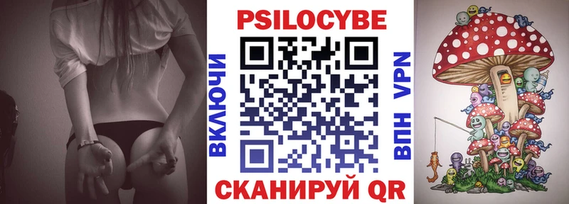 Псилоцибиновые грибы мицелий  KRAKEN маркетплейс  Велиж  цены наркотик 